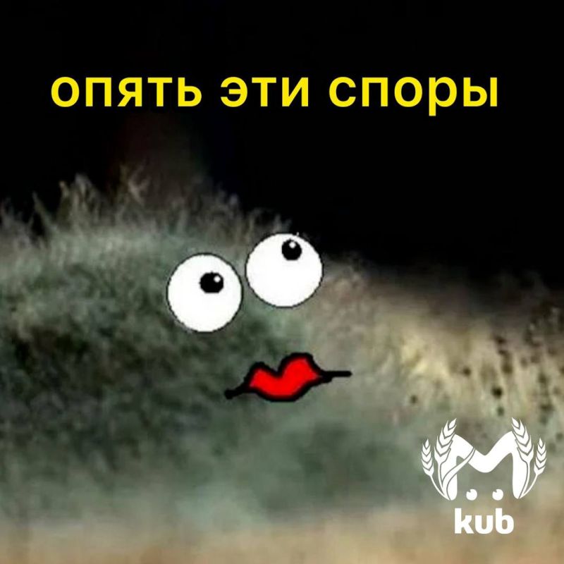 Сеть "Светофор" получила штраф 300 тысяч за просрочку и другие нарушения в 20 магазинах Кубани