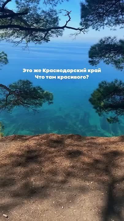 Мечта №1 на это лето: Путешествие по Краснодарскому краю