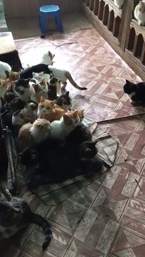 � ������ ��������� ������ � ���� � ��� ����������� �� ����� �����