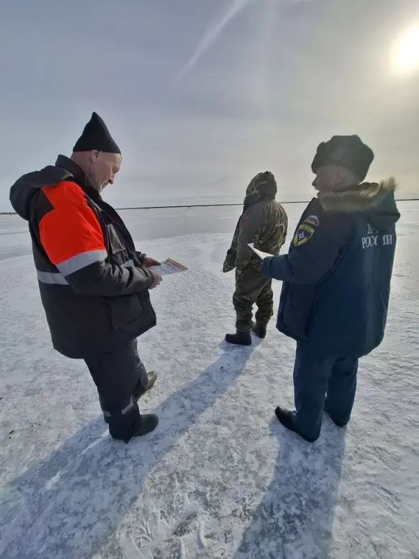 �������� ���� ������� ��������: ������������ ������� � ������������ ������ �� ����