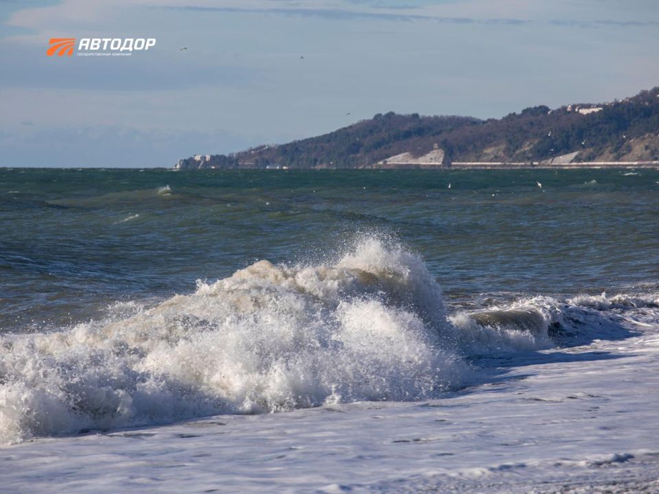 ���������� �������� ������, � ���� ������ �������� ����