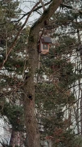 ������ ����, ���������!. ����������� � ��������� ����� ���� � ������� �������