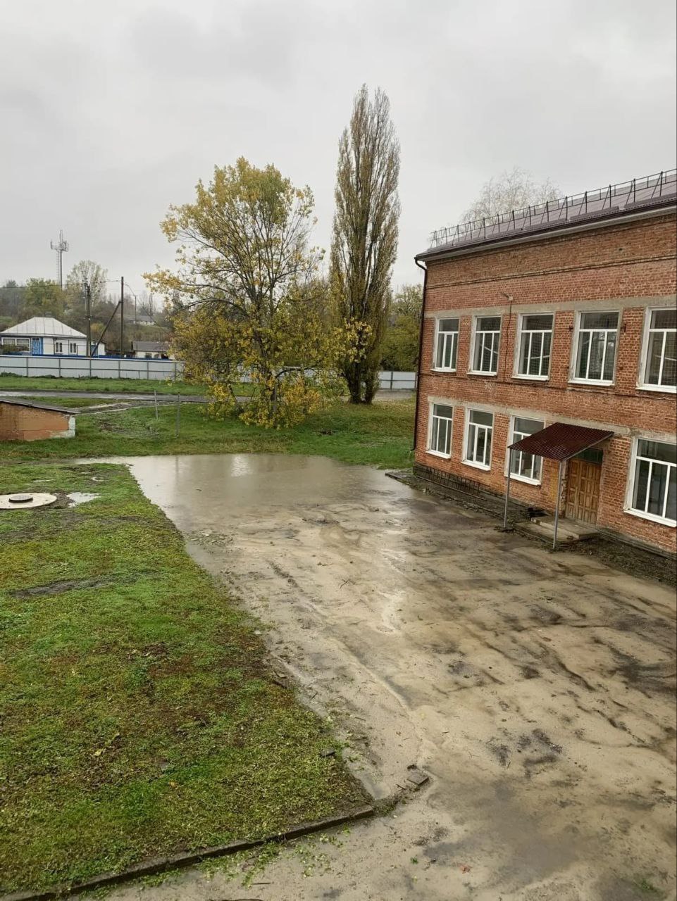 От подписчиков