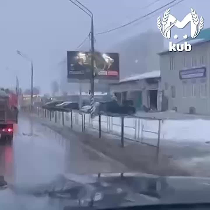 "����������� ��� ������, ����� �������, ������ ������ �����, ������"