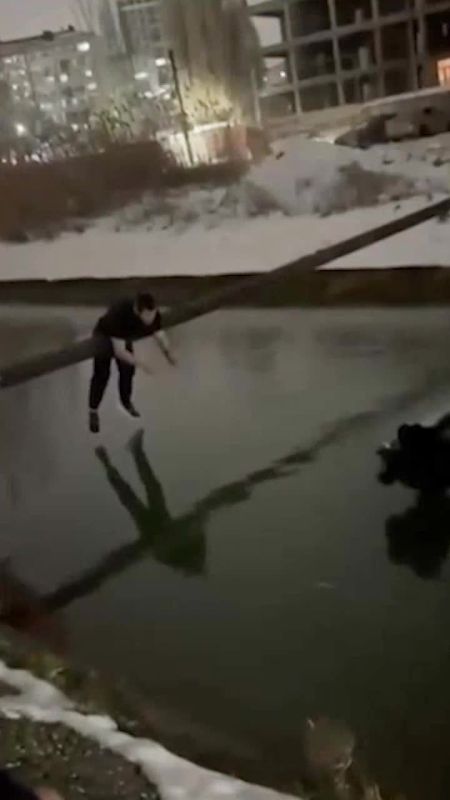 � ��������� ��������� �������� ������ ���� � ������� �� �������� ����������