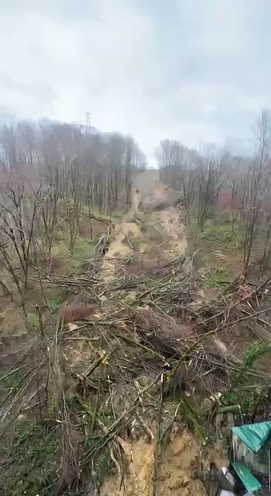 � ���� ����� ��������. � ��������� ������ ���� ������������ ���� ������� � ��������� ���������� ������� � ������� ������ ���������������� ����