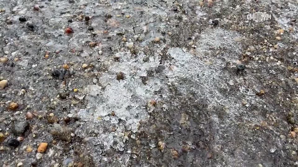 ������ �������������� ���� ������������ � �����