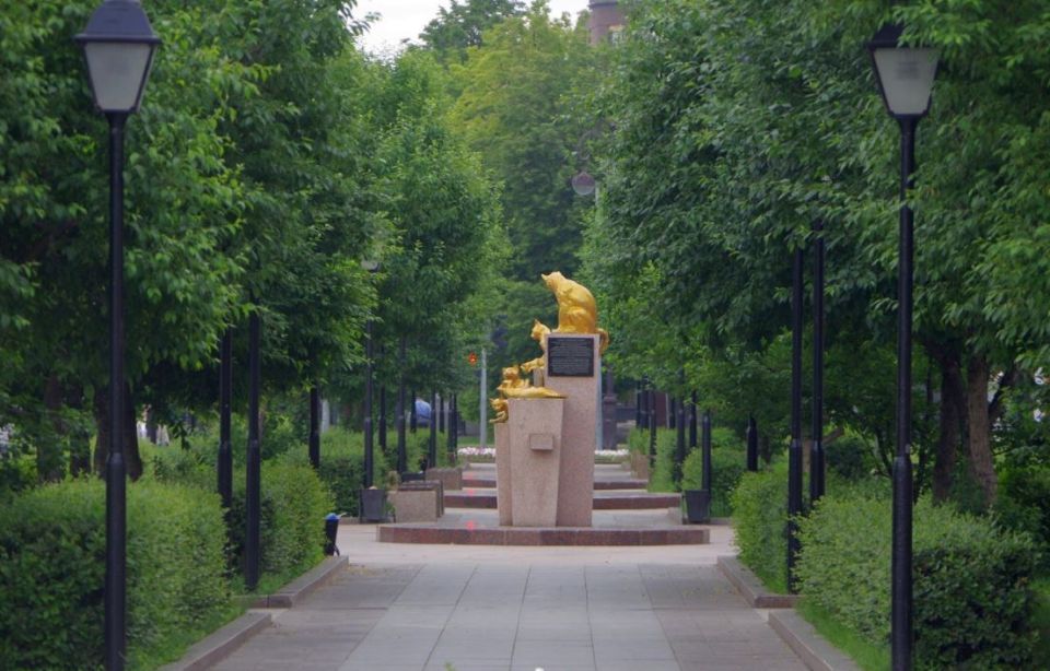 ��� ����� ������ ���������