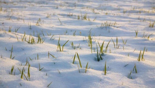 �� ������ ������ ������������ �������� �������