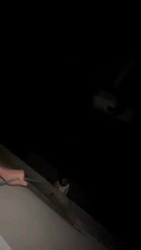 ��������!�: ������ ���� ������� ���� � 7-�� ����� �� �������