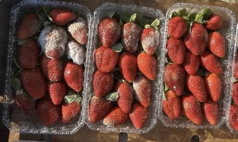 9 ���� ���������� �������� �� ������� �� ������