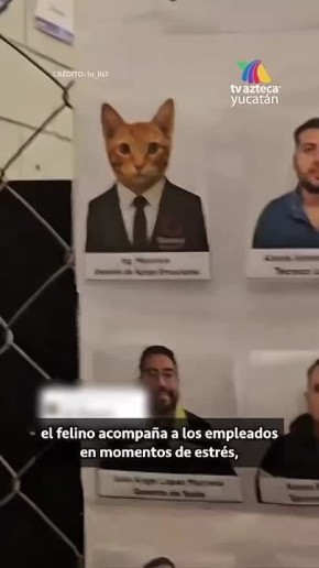 ���� �� ������ �������� ��������� � ����� � ���������� �������� � ���� ������������ �������� �� ��������� ��������� �� ������������� ���������