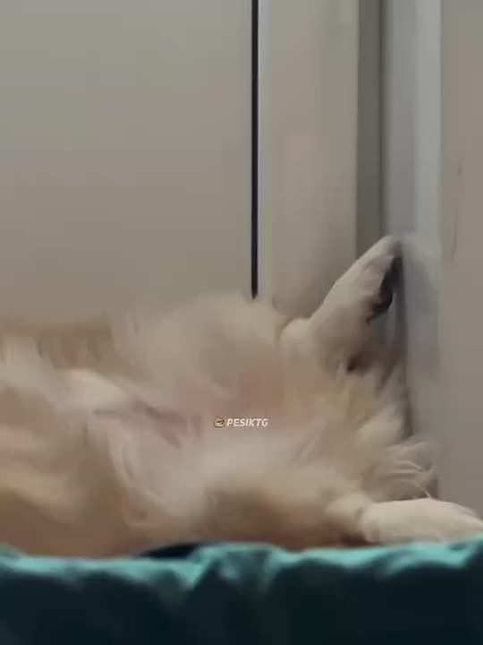 ���� ���� ����, ���� ��������� �����