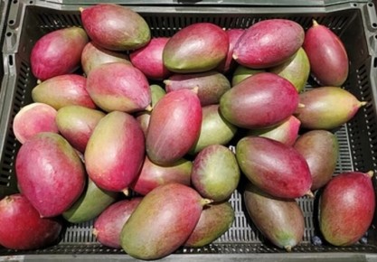 ���� �������� ����� � ������ �������� ������ ���������� ��������� ������� �����