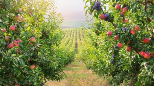 �� �������� ����������� �� ������ �������� ������ ��������� ������