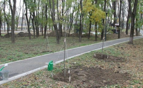 АРМАВИРЦЕВ ПРИГЛАШАЮТ ПРИНЯТЬ УЧАСТИЕ В ЭКОЛОГИЧЕСКОМ ПРОЕКТЕ «НАШЕ ДЕРЕВО»