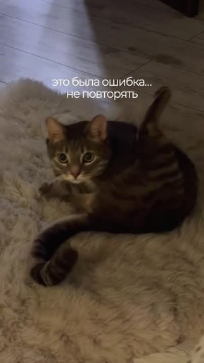 ����� ��������� ���������� ���� - ��� ���� ������