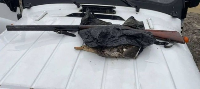 ��� ���������� �������� �� ����� �� ���� � �������� ����