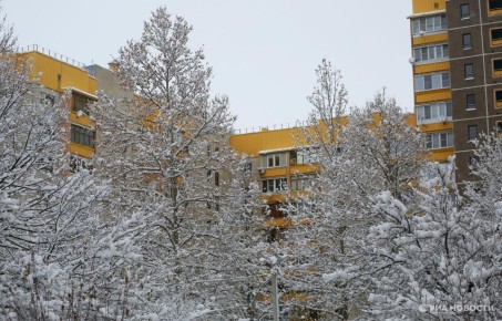 �������� ������ ���������� �������� ���������������� � ��������� ���������