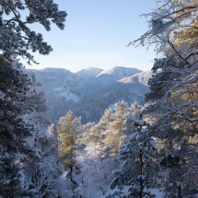 ���� �������� � ������������� ���� ��� � ����� ������