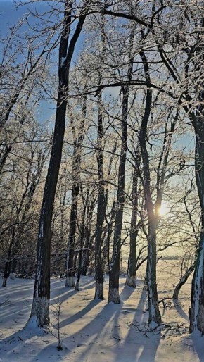 � ������ �� 30 ������. � ������������� ���� ���������� ����������