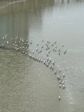 � ������ �� 31 ������. � ������������� ���� ���������� ����������