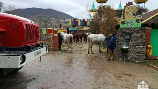 �� ������ ������� �������: ������� ������� � 21 ������