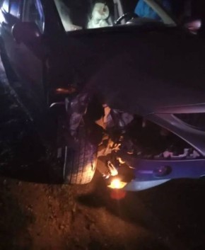 �������� ������� � ���� ��������-�����������