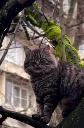 ��������� ���� - ������, �� �����������!