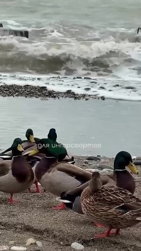 ������ ���� � ������� - ������ �����