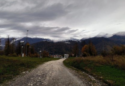 ����������� �� �� ���: ������ ���������� ������ ������������ ���������� �� ���������� ������������� ����������