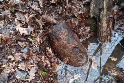 ��������� ����� 50 �� � ������ ���������� ������������� ���������� ��� ������� ������