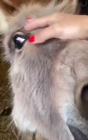 ������: ����� �� ������ ������ ��� ��������� ������� � ���������