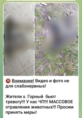 ������� ��������� ���������� �� ���������� ����� � ������ ������