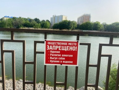 � ���������� � ����� ����� ���� ������� �������