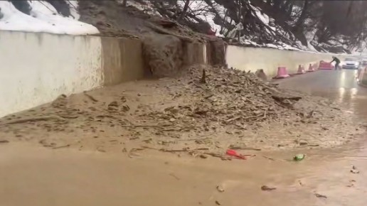 � ���� ���� ����� �� ������