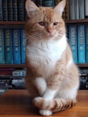 � ������ �� 3 ������� . � ������������� ���� ������� � ������������