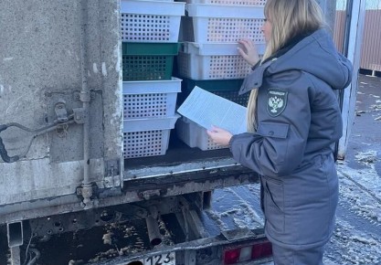 �� ������ �������� � ������ ������� 9 ���� ����, ���� � ���� ������������ �������������