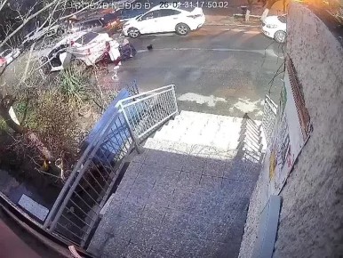 �������� ���� ����������, ������ �����