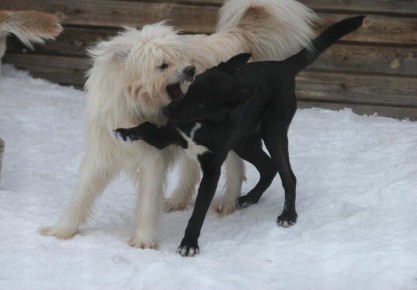 ����������� ��������� ������ ������������ ������ � ����������� ��-�� ����������� ��������� �������� �����