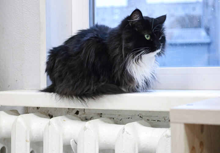 Из-за аварии на сетях в Краснодаре отключили подачу отопления в детские сады, школу и жилые дома