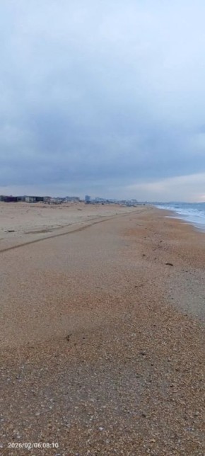 � 29 ������ �� 6 ������� � ����� � ���������� ������ �� ����������� ����� �������� ��������������