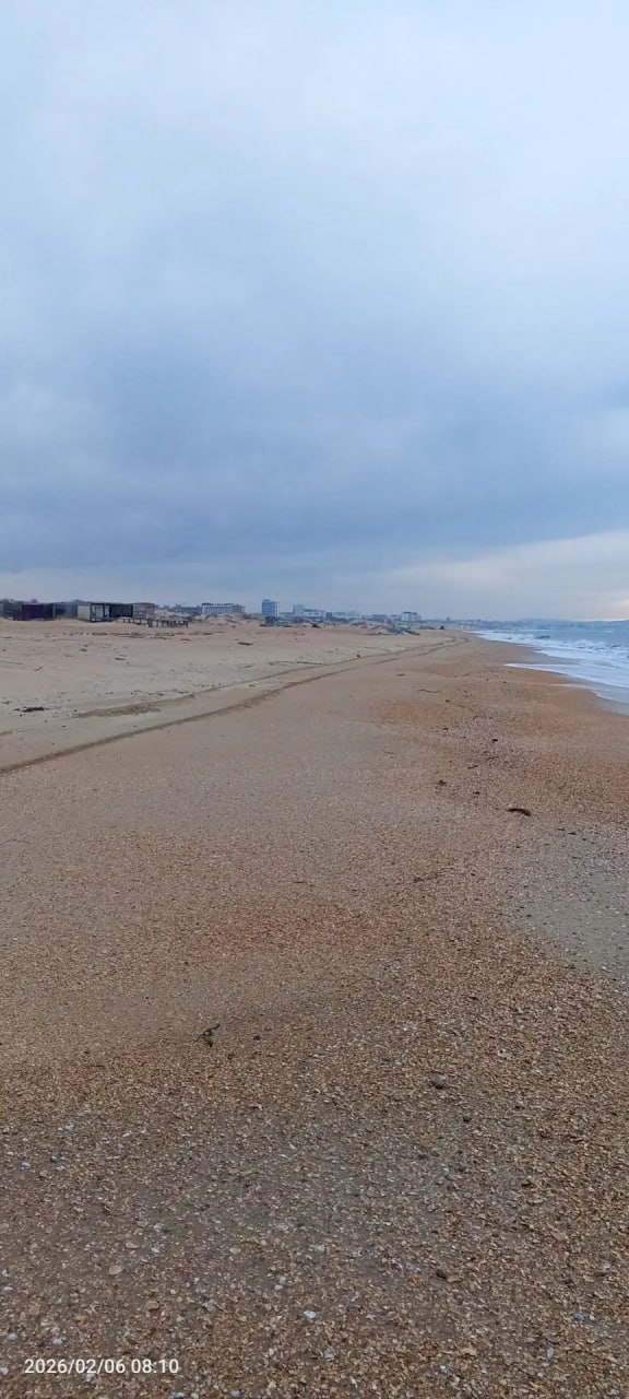 С 29 января по 6 февраля в Анапе и Темрюкском районе не фиксировали новых выбросов нефтепродуктов