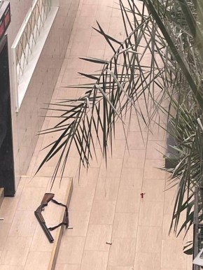 ������� ������ �������� � ����� ��������� � ����� � ���������� ��� ��������