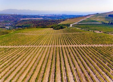 � ������������� ���� ������� ������� � ����� ���������, �������������� � ���������������� �������