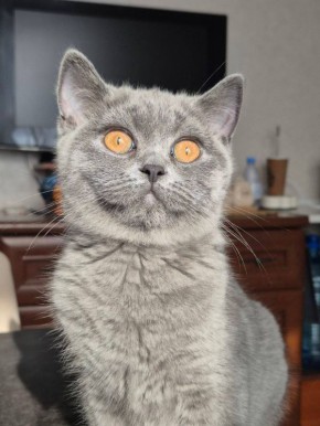 � ������ �� 13 ������� . � ������������� ���� ������� � ������������