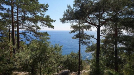 ������ ���������� ������� ������ �������� ����������� ��������