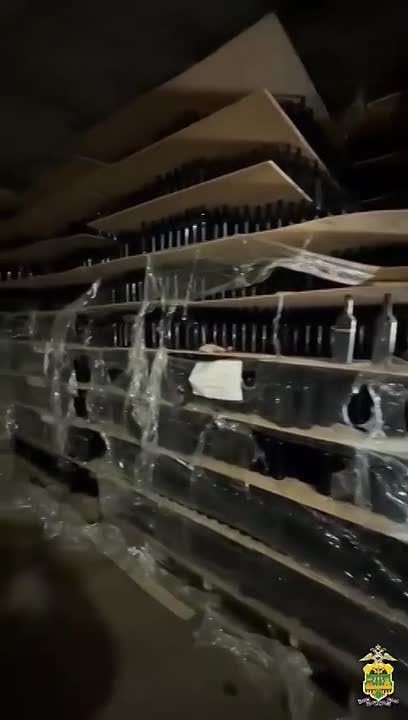 Более 14 тонн незаконного вина полицейские изъяли в Новороссийске