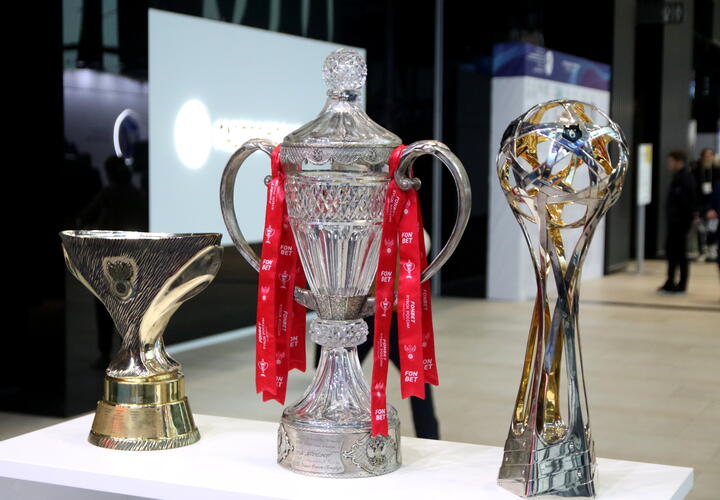 Чиновник из Белореченского района Кубани прикарманил 370 тысяч, обманывая спортивные школы