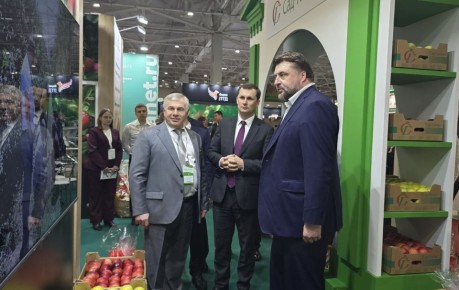 В Краснодаре открыли специализированную выставку «Fruit Trade: Сады и Виноградники»